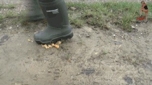 Dunlop Wellies In Act