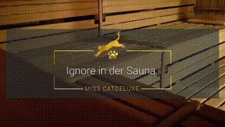 Disregard In The Sauna