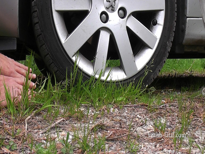 Car Crushing With One Arm And The Two Arms With Front And Rear Wheels